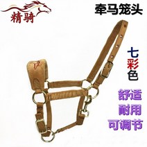 마롱머리채색견마조교롱머리크기조롱머리재갈마승마용품손본10송일, 일반 스타일 화려한 고삐 L 큰 황금색