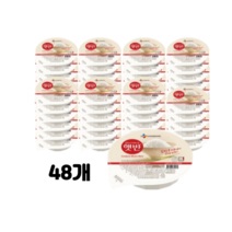 햇반 백미밥 210g x 48개, 48개입