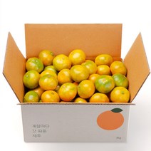 깨비농원 노지 감귤 3kg, 1box, 3kg 소과(2S)