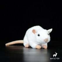 귀여운 화이트 마우스 실험쥐 털인형 장난감 친구 생일 선물 17CM, Acm