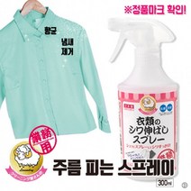 옷 탈취스프레이 300ml_뿌리는 다리미 향균스프레이 일본수입, 1개