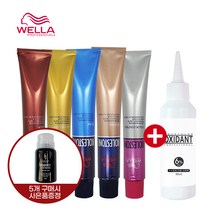 웰라 콜레스톤 퍼펙트 헤어컬러 염색약 80g + 산화제 (5개구매시 칼라 리무버증정), 1개, 14/11-애쉬그레이