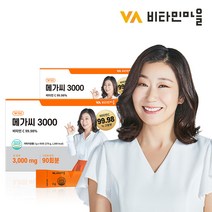 비타민마을 메가씨 3000 메가도스 비타민C 분말 스틱 2박스, 3g, 2box