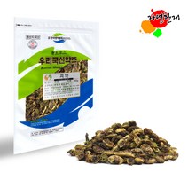 국산 회화나무 열매 괴각 300g 괴실, 300g 1개, 1개