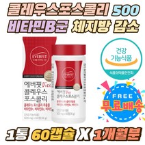 콜레우스포스콜리 500mg 비타민B군 건강한 체지방감소 밀크세라마이드 BCAA 다이어트 콜레우스 포스콜리 개별인정형원료 체지방률 체중 감소 제지방량 증가 흰강낭콩 다이어트