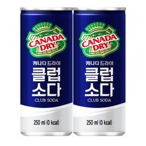 캐나다드라이 클럽소다 250ml 10캔, 10개