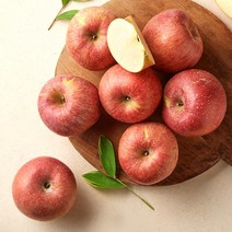 [프레샤인] [작심밀도]산지직송 농협 충주보조개사과 10kg(24-53과/ 중.대과), 상세 설명 참조