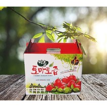 국내산 대추방울토마토즙 원액100% 엑기스 주스 120ml 50포