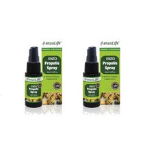ENZOLIFE 엔조라이프 엔조 프로폴리스 스프레이 30ml x2개