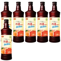 광야식품 자몽 베이스 아이스티 970ml, 6개