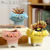 다육화분 다육이 심폴 화분 식물 미니 화분세트, 도자기, 옵션65