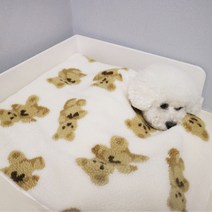 강아지 담요 이불 겨울 방석 극세사 양털 블랭킷 곰돌이 테디베어, 블랙
