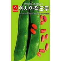 콩씨앗 아시아 적도두 작두콩(5립), 단품