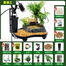 육지거북이 사육장 수생 거북이 테라리움 핑크밸리 늑대 애완용 거북 어항 사육장 세트, 33cm세트316종세트