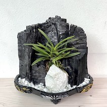 [희망참숯농원] 숯화분 옥석과 풍란, 1개