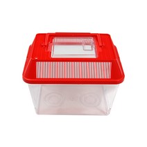 대일 사각 곤충 채집통 (대) 색상랜덤