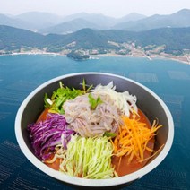 한치물회 세트 밀키트 물회육수 캠핑용, 1개