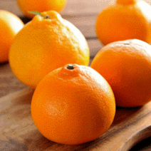 [산지직송]제이블릭 제주 황금향 4.5kg 5kg 특대과 특대 당도보장 레드향 카라향 홍매향 홍미향 고당도 15브릭스 선물용 추석선물 명절선물 설선물 임신 임산부 백화점선물세트, 4.5kg(특대과 10~14과)