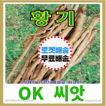 [OK씨앗] [황기] 황기씨앗 종자(오케이씨앗), 3g