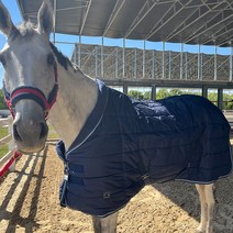 말의류 승마 겨울 보온 방한 마구간 승마용품 겉옷, 2. 네이비 165cm