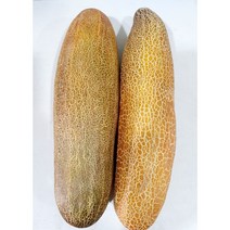오이 노각 늙은오이 진노각 노각오이지 노각오이무침, 노각1kg, 1개