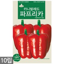 쌈배추 씨앗 1000립 - 배추씨앗 배추씨 쌈추 배추 채소씨앗 쌈채소씨앗 채소씨 씨, 10_레드파프리카(10립)