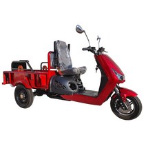 신일실업 전동삼륜차 노인전동차 효도선물 삼륜차 전기오토바이 씽씽-200