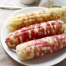 홍찰 냉동 삶은 찰옥수수 28개 (16~18cm 내외) 옥수수, 단품