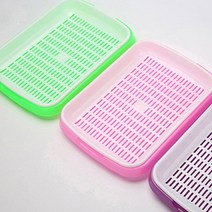 식물 새싹 씨앗 무순 재배기 바구니 채소 키우기 통 트레이 농사