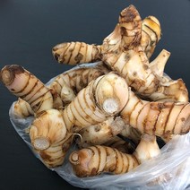 월드푸드 WORLDFOOD GALANGAL 갈랑갈 CU RIENG, 1개, 1kg