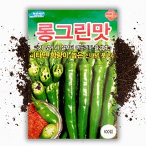 롱그린맛 고추씨앗(100립) 오이맛 아삭이고추 비타민 함량