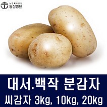강원도씨감자 (주)왕산종묘 백작 대서 분감자 3kg 10kg 20kg 강원도 정품 감자모종 씨앗 텃밭 모두싹 주말농장 감자파종 모종, 1박스