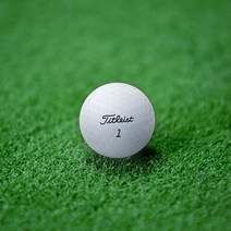 타이틀리스트 PRO V1 A+ 등급 로스트볼 10개