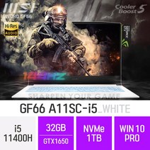 MSI GF시리즈 Sword GF66 A11SC-i5 [블랙색상으로 출고됩니다], 1TB, 윈도우 포함, 32GB