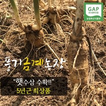 풍기금계인삼 풍기인삼 수삼 난발삼 5년근 햇수삼(인삼) 1채(750g), 1box, 난발햇수삼 11-15뿌리(세척안함)