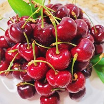 생 체리 1kg 항공직송 칠레산, 단품