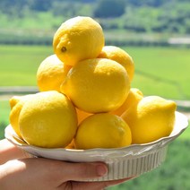 칠레산 레몬 1KG(10개) 2KG(20개) 3KG(30개) 4KG(40개) (100g 내외) 1.2KG 2.4KG 3.6KG 4.8KG