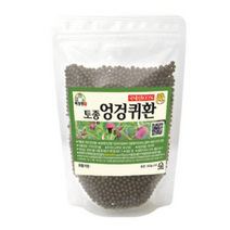 백장생 토종 엉겅퀴환, 300g, 2개