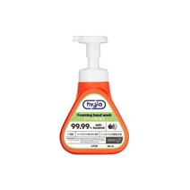 하이지아 핸드워시 페퍼민트 385ml 용기 라이온코리아, 본상품선택