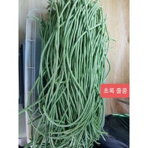 줄콩 롱빈 (LONG BEAN) 껍질콩 국내재배 그린빈스 스트링빈, 초록줄콩  500g