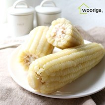 우리가스토리 탱글탱글 냉동 삶은 백찰옥수수 18개 외 황찰 옥수수 찰옥수수, 백찰옥수수 16개(14~16cm내외)-1봉