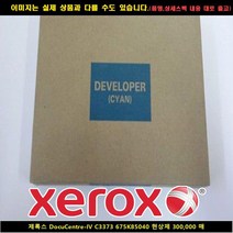 MDG3143 DocuCentre-4 C3373 675K85040 현상제300000매 현상제/제록스현상제/제록스복합기잉크/제록스프린터잉크, 쿠팡 본상품선택