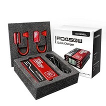 촬영 SOONWELL C타입 고속 배터리 충전기 USB-C D-TAP 모듈 전원 케이블 어댑터 PD100 PD450 100W 450W, 02 PD450