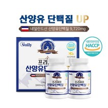 시니어 산양유 단백질 정 식약청 해썹 산양유 프로틴 알약 퀼리고트 네덜란드 고함량 산양유 분리유청 단백질 추천 근육 보충제 류신 타블렛 bcaa 밀크칼슘 히알루론산 선물세트 선물용, 2통 1.세트