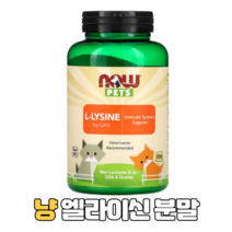 나우푸드 NOW Foods L-라이신 반려묘용 엘라이신 면역력 허피스 바이러스 고양이 영양제 226.8g(8oz)