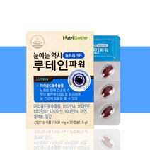 노화 눈 건강 루테인 파워 영양제 약 1개월분