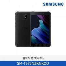 삼성전자 갤럭시 탭 액티브3 태블릿PC, 블랙, 64GB, Wi-Fi