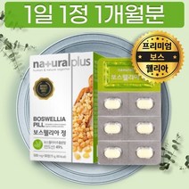 INDIA BOSWELLIA 인도 보스웰리스 보스웰리아 판매 파는곳 구입 정 한달분, 상세페이지 참조, 상세페이지 참조