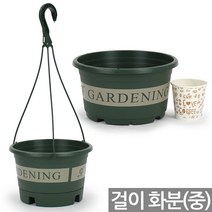 대형 슬릿 걸이 화분 플분 - 걸이분 행잉 받침 세트 플분 플라스틱 식물 벽 인테리어 꾸미기 거실 매장 베란다 꽃 분갈이, 02_세인_슬릿걸이분(1P)_중형