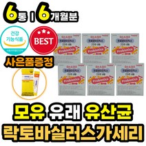 50대 60대 중년 여성 맛있는유산균 분말 락토바실러스 장 건강에 좋은 프로바이오틱스 식약처인증 장내 미생물 유익균 유신균 파우더 가루 스틱 씹어먹는 카제이 플란타룸 람노서스